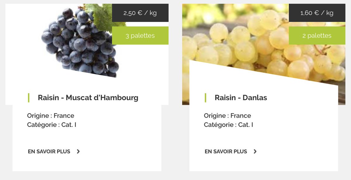 5AM_Market's tweet photo. La saison du raisin commence sur https://t.co/qC88pRZh58 ! https://t.co/JK8u9zFmEm