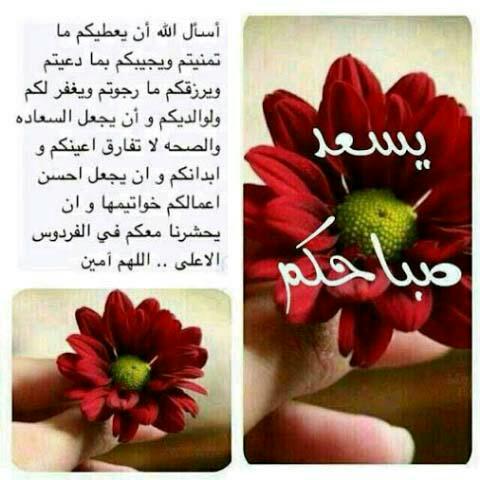 محمد ابو سعد (@mmhhdd8787) on Twitter photo 