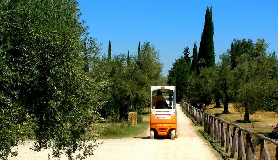 chiappiniwinery's tweet photo. Iniziamo a scaldare i motori. #vendemmia2017 #chiappini #bolgheri #toscana #wine #winelover #winetasting https://t.co/a1d8LFqpOo