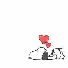 社会人めがねまん 28 いとしのスヌーピーの誕生日 あー 可愛い可愛い 一人暮らししたらスヌーピーいっぱいの部屋にするんだ スヌーピーショップ行きたい