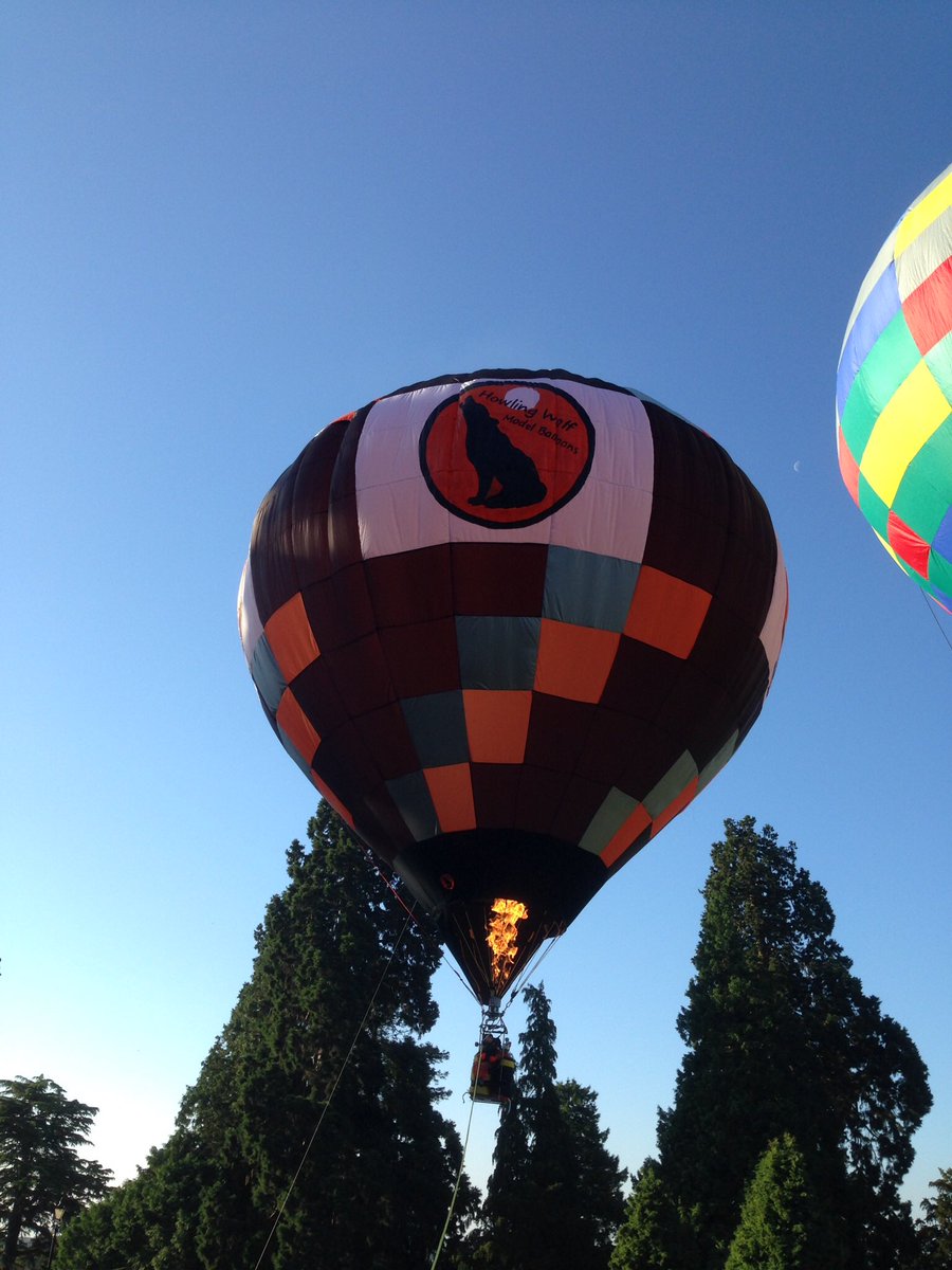 The Howling wolf model balloon teams are all packed and ready for a weekends flying at the Bristol balloon fiesta