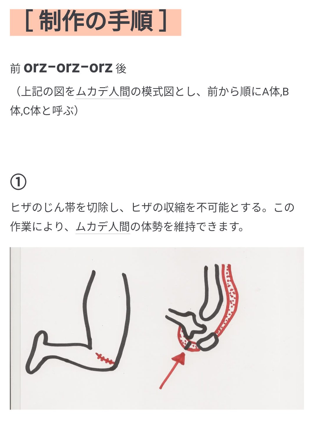 アラ氏 En Twitter ムカデ人間 3連ver の作り方を大公開 あの 世界的な医師であり ムカデ人間の権威である ヨーゼフ ハイター博士 が監修 たった７手順で制作可能 続きはwebで T Co 6ozqz1gmfi T Co X7upbnxta7 Twitter