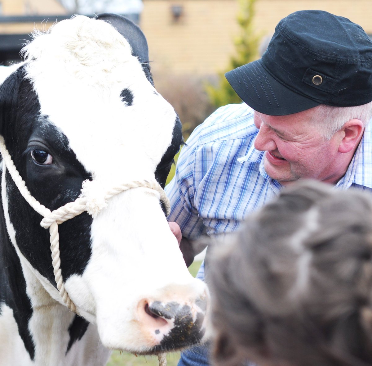 NemiDairy's tweet photo. Lettuce tractor down all the #FarmHeroes out there...

(&amp; although it may sound corny)

Say Thanks!

You are Legendairy! 

#Farm24 #PunFun 😃 https://t.co/WEl6FrokDk