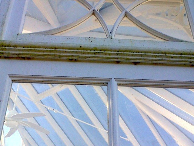 WindowTrueShine's tweet photo. Conservatories in need of cleaning! https://t.co/Jj58wNqLIq https://t.co/9QKJAZWusZ