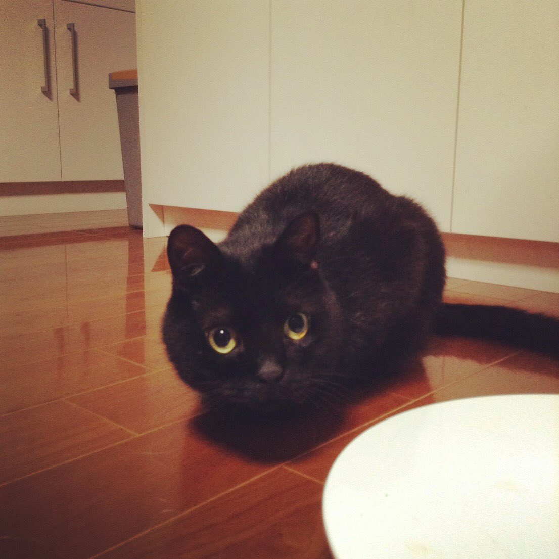 いつでも驚いている 