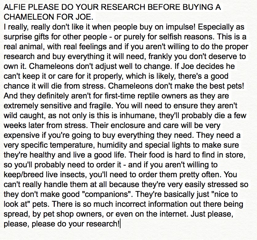 izzie_natalie's tweet photo. @PointlessBlog Please read Alfie!! Retweet this so he sees 😔😔 https://t.co/AsUg8mpAtp