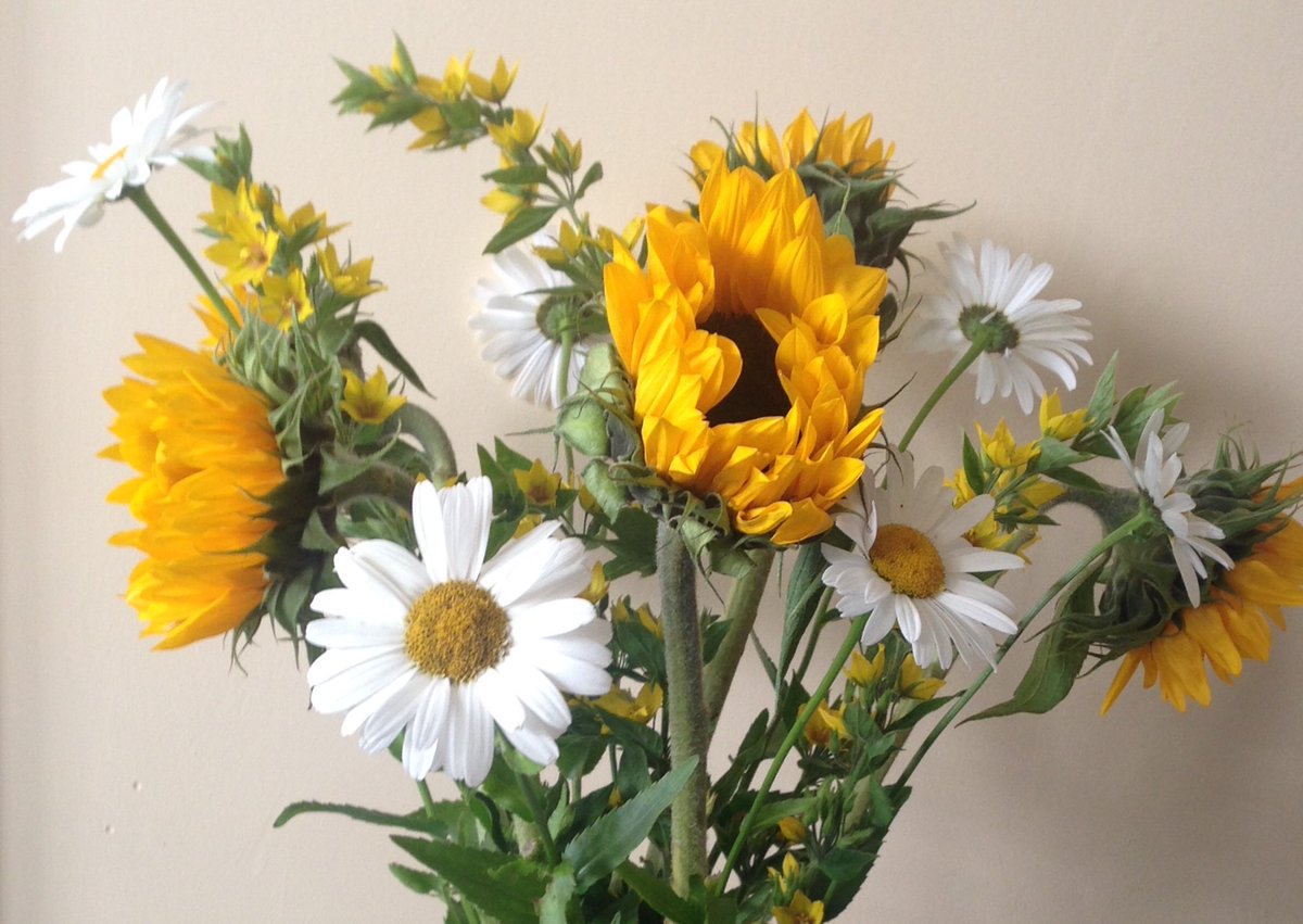 Late_Available's tweet image. Happy summer flowers to put you in a holiday mood #britishsummertime @Late_Available
