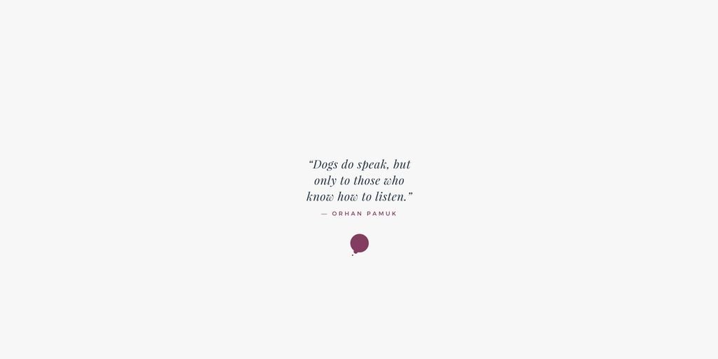 parcelpet's tweet photo. Quote of the day! Share the love... & the quote #parcelpets https://t.co/QwQrnxIxod