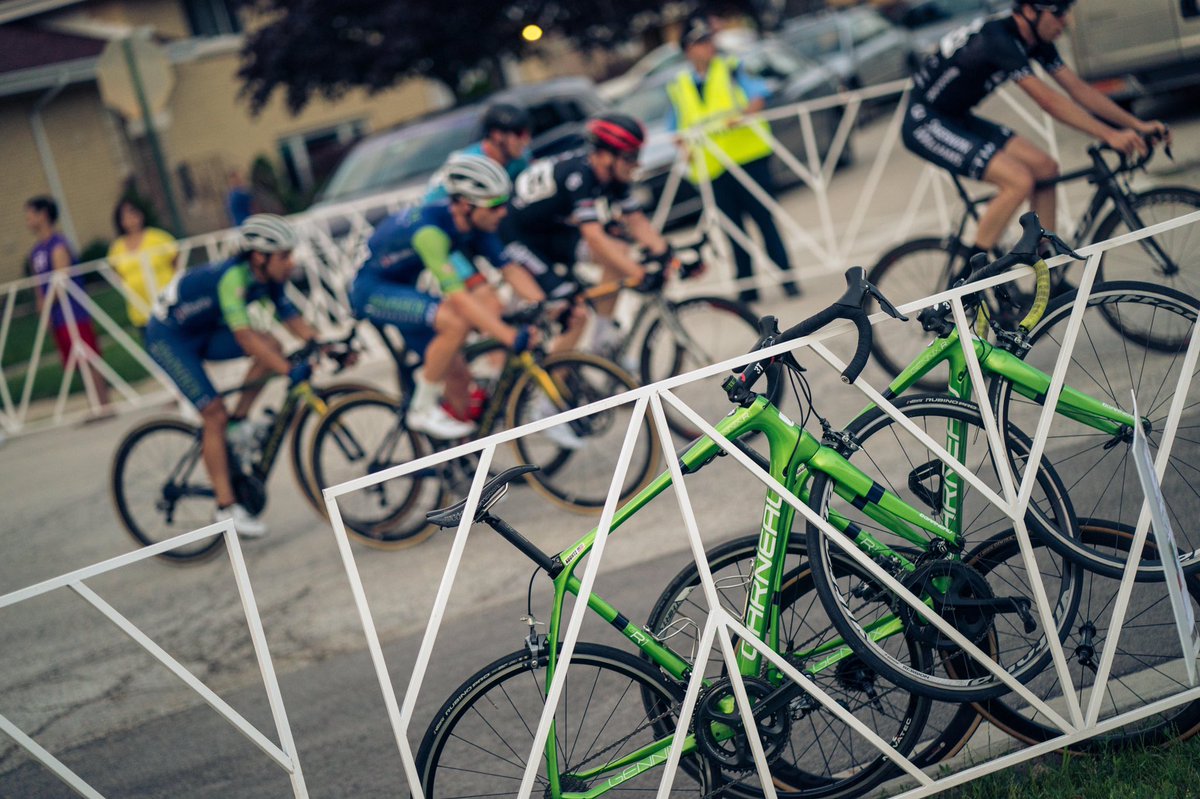 Steeds in the stable.