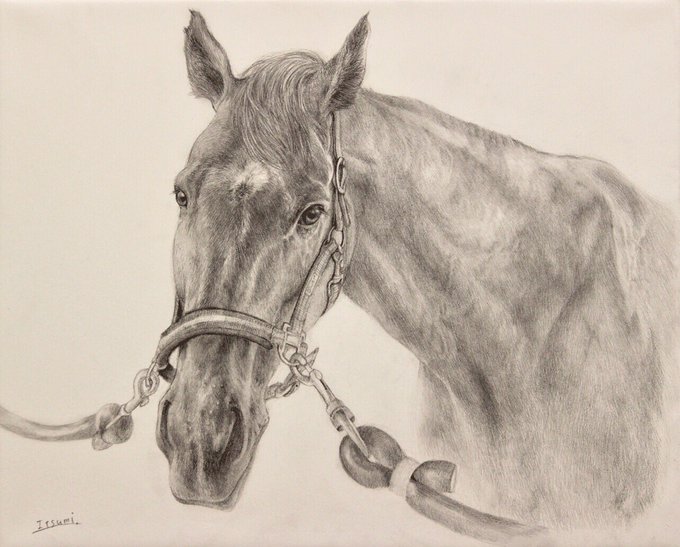 Itsumi 斉藤いつみ 馬の絵画家さん がハッシュタグ 鉛筆画 をつけたツイート一覧 1 Whotwi グラフィカルtwitter分析 Itsumi 斉藤いつみ 馬の絵画家さん がハッシュタグ 鉛筆画 をつけたツイート一覧 1 Whotwi グラフィカルtwitter分析