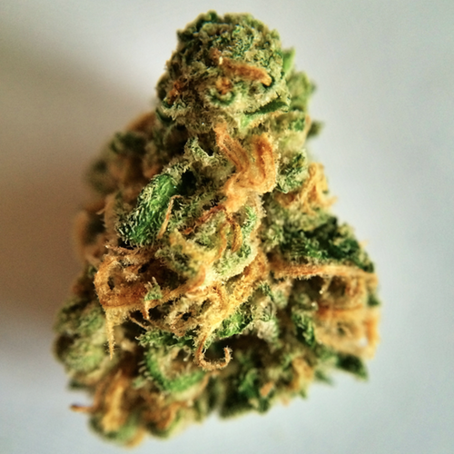 CraftedExtracts's tweet image. “When you smoke the herb, it reveals you to yourself.”―Bob Marley