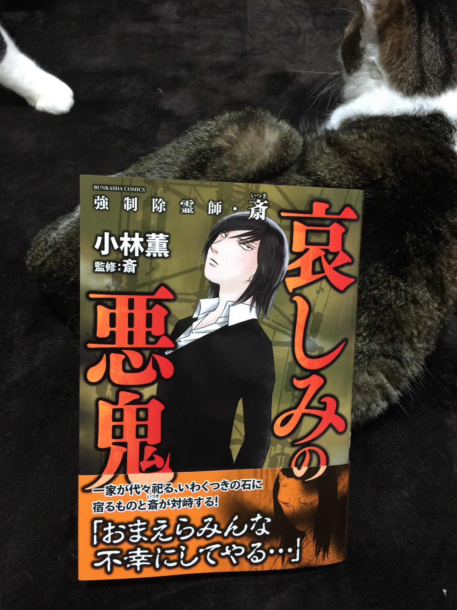 斎 宣伝 拡散希望 強制除霊師 斎 新刊 哀しみの悪鬼 ８ １７発売 よろしくお願いしまーす T Co 56dxp26ksw Twitter