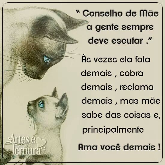 #BetasegueBeta #BetaAjudaBeta