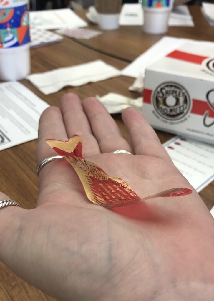 Fishing for fortunes fun in our science training this morning! #creechpride #scepln