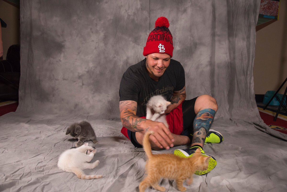 Cardinals's tweet image. We're not going to say that #RallyCat was an inside job but...🐱