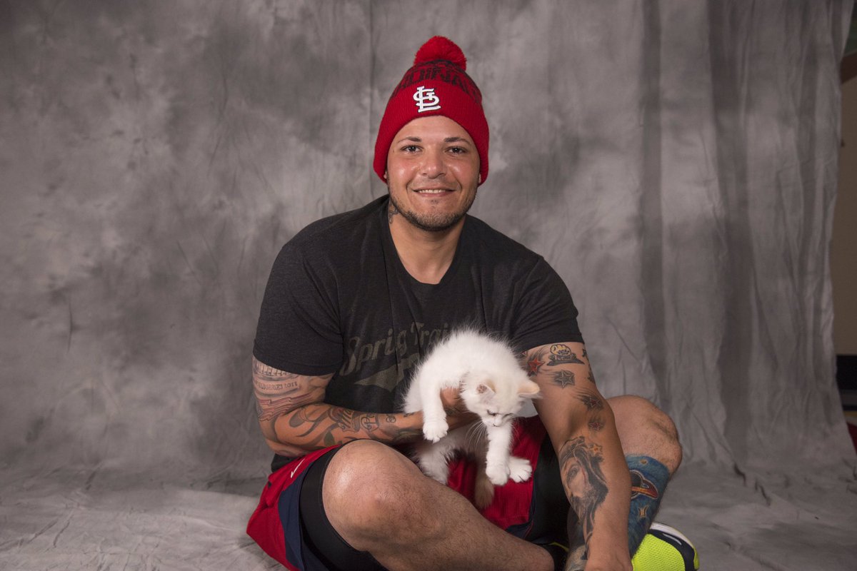 Cardinals's tweet image. We're not going to say that #RallyCat was an inside job but...🐱