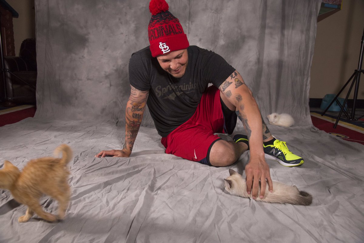 Cardinals's tweet image. We're not going to say that #RallyCat was an inside job but...🐱