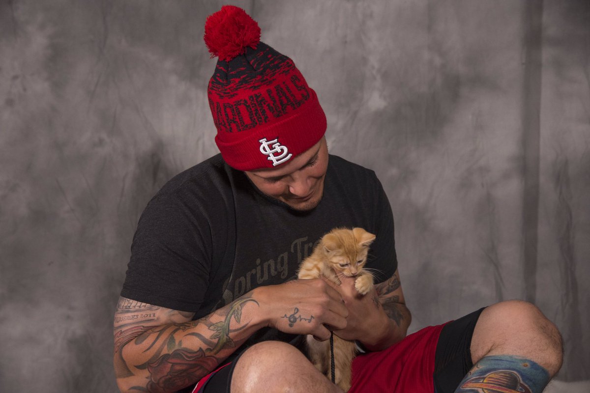 Cardinals's tweet image. We're not going to say that #RallyCat was an inside job but...🐱