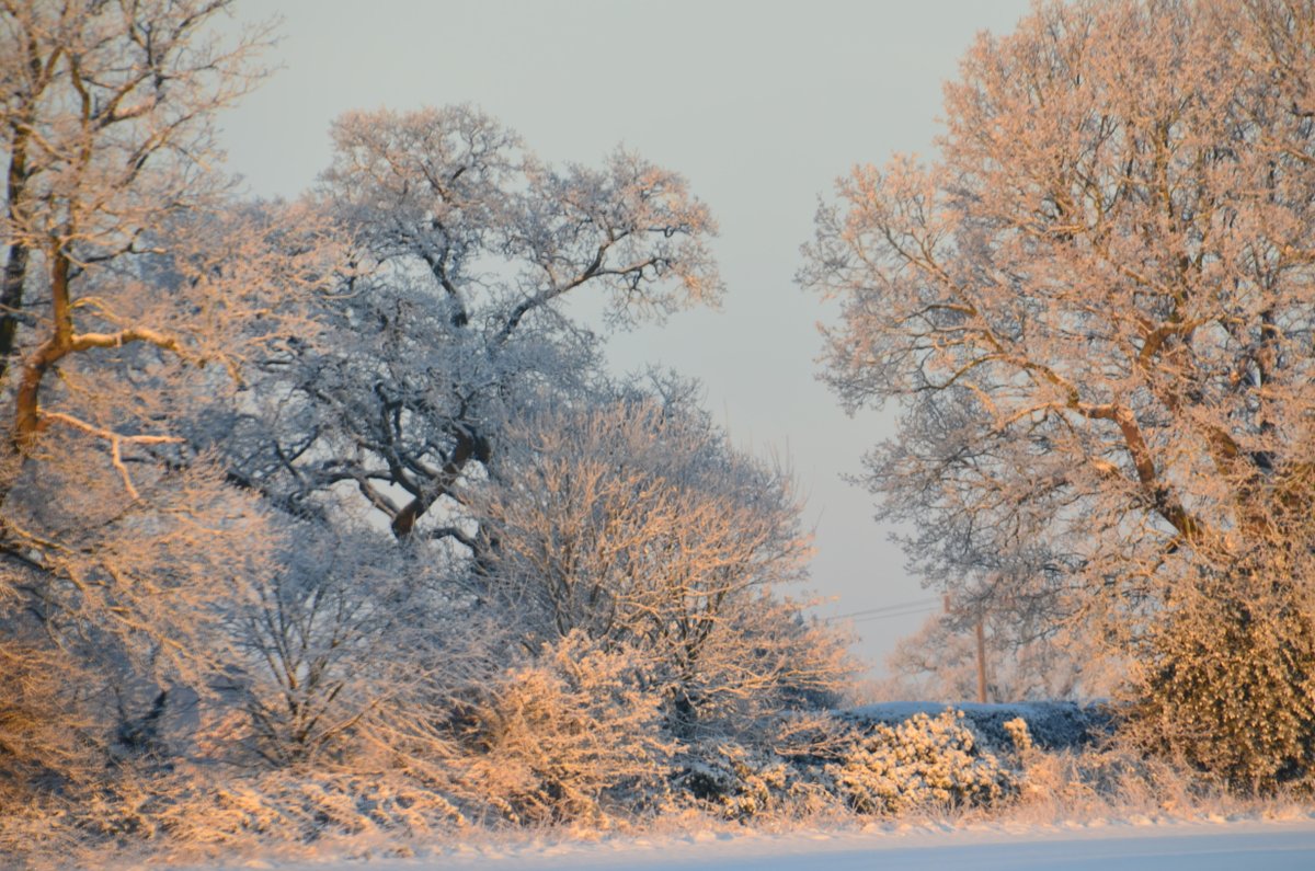 Cley Beach Cottage tweet media