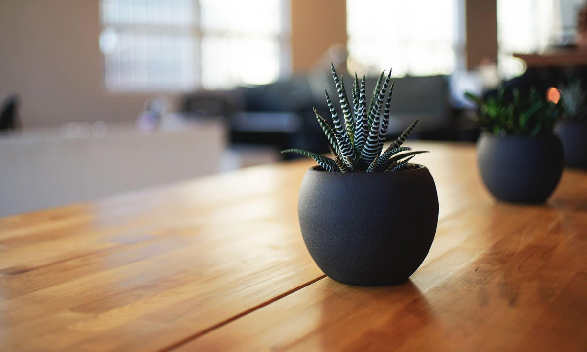 Our new managed, 0-click WordPress website hosting service is now available. ow.ly/lA1530eiVAS