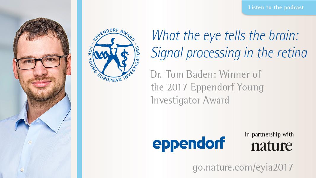 NaturePortfolio's tweet photo. This Nature podcast with Dr Tom Baden, 2017 Eppendorf Award Winner, explains how the eyes and the brain communicate https://t.co/hQkWPLkXUT https://t.co/XM6lhrUPCm