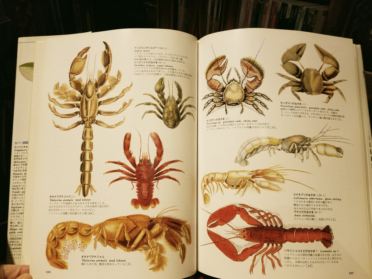 Bookcafe Bar 十誡 Bar十誡書籍紹介 世界大博物図鑑 1巻 蟲類 荒俣宏著 人体の寄生虫 から 三葉虫 よく見かける蝶などカラーの図版が数多く掲載 エビなのにギリシア神話の女神アルテミスに由来してるものなど解説も大変興味深く面白い 古代から生息