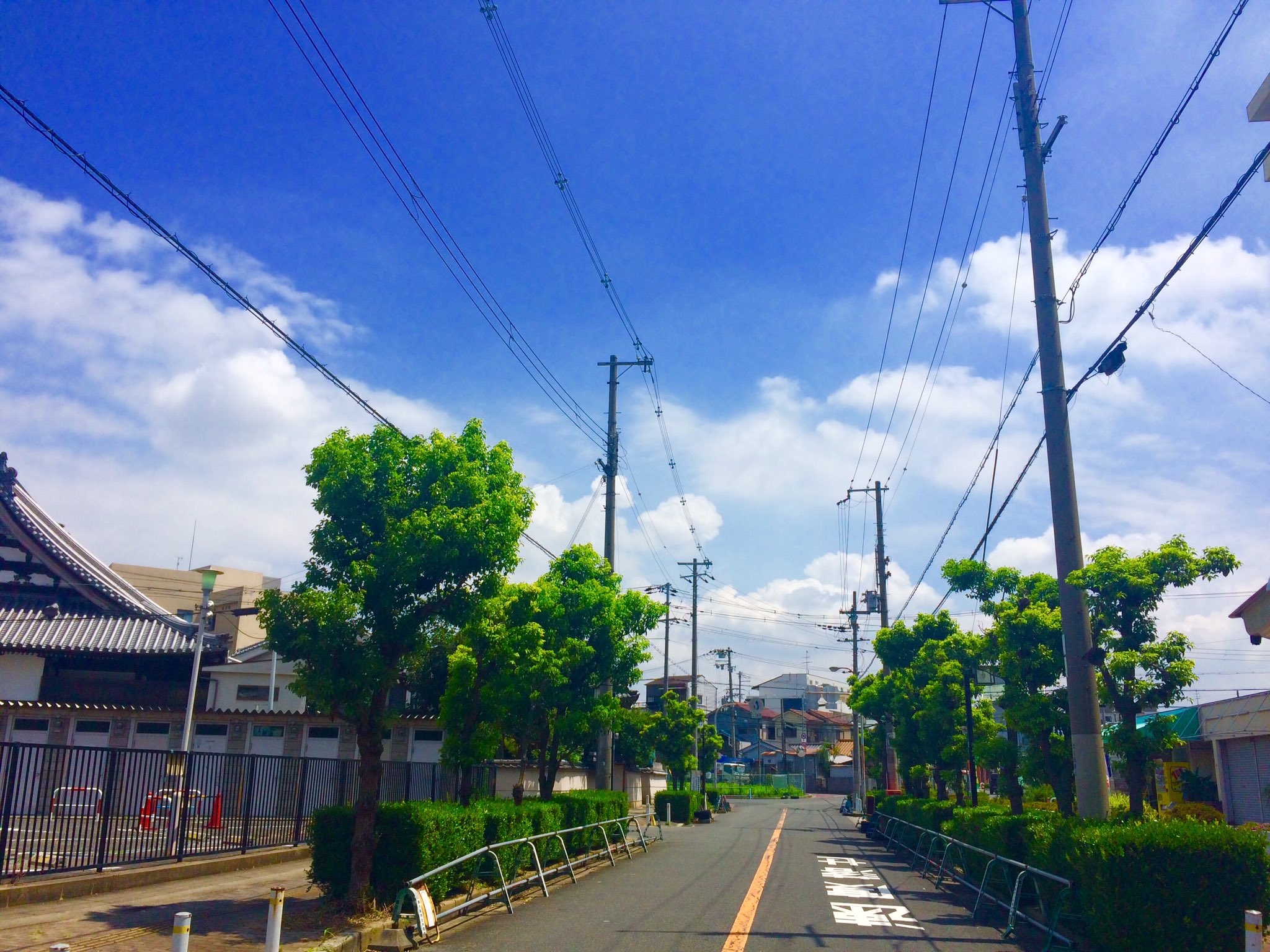 切ない夏 Twitter Search Twitter