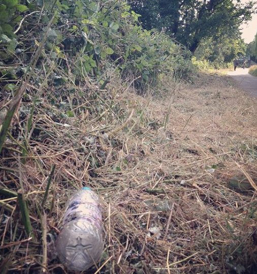EcojamBath's tweet photo. Ecojammers! Sign up to save our river from rubbish at our community litter picks on Tuesday 15th &amp; 22nd August https://t.co/oi7Iigxdqs https://t.co/OuOl3YhxzY