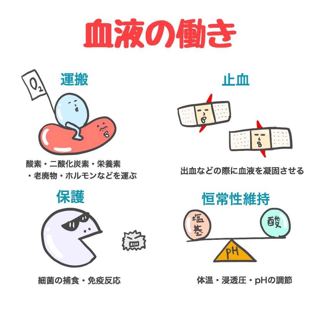 ゴロ 解剖生理イラスト Al Twitter パッと見でわかる 血液の働き T Co Hlc3ivh5li Twitter ゴロ 解剖生理イラスト Al Twitter パッと見でわかる 血液の働き T Co Hlc3ivh5li Twitter