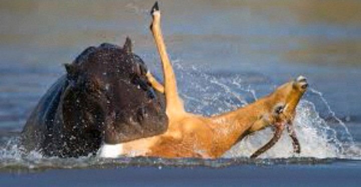 ZIARA Group AFRICA ♼ tweet media