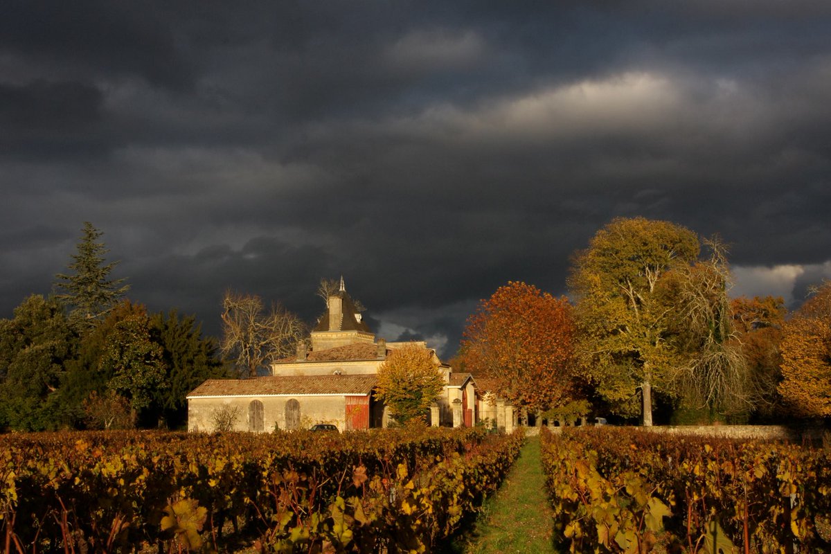 lebaldesgraves's tweet photo. #BalDesGraves 2017🍷
➡ Découvrez le #ChâteauLusseau: https://t.co/nyoiZnFPqt 
📅  RDV le 23 août : https://t.co/rmEz2LoRus https://t.co/06r3bPphy4