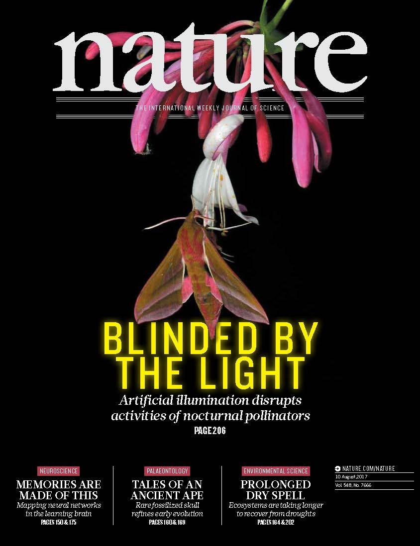 Nature - La luce artificiale interrompe il processo di impollinazione https://twitter.com/nature/status/895600656991608832