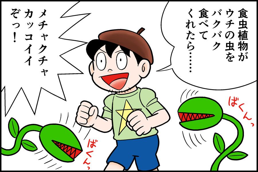 子どもの頃、図鑑などで見ていた食虫商物がネット通販で買えるとは……。ということで、食虫植物を育ててみました!
検証! "食虫植物"を育てたら夏の虫対策になるのか? - 価格.comマガジン https://t.co/5naLXqn91X 