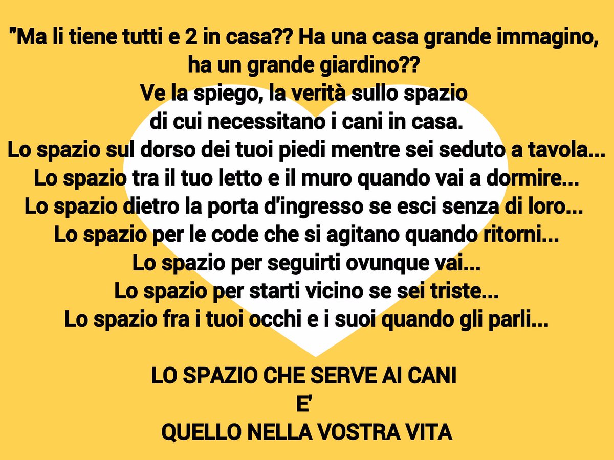 sangesnicola's tweet photo. Non c'è bisogno di una casa grande o di un grande giardino, c'è solo bisogno di amore e rispetto!🐶🐶🐾🐾 https://t.co/mfFkh6LyIu