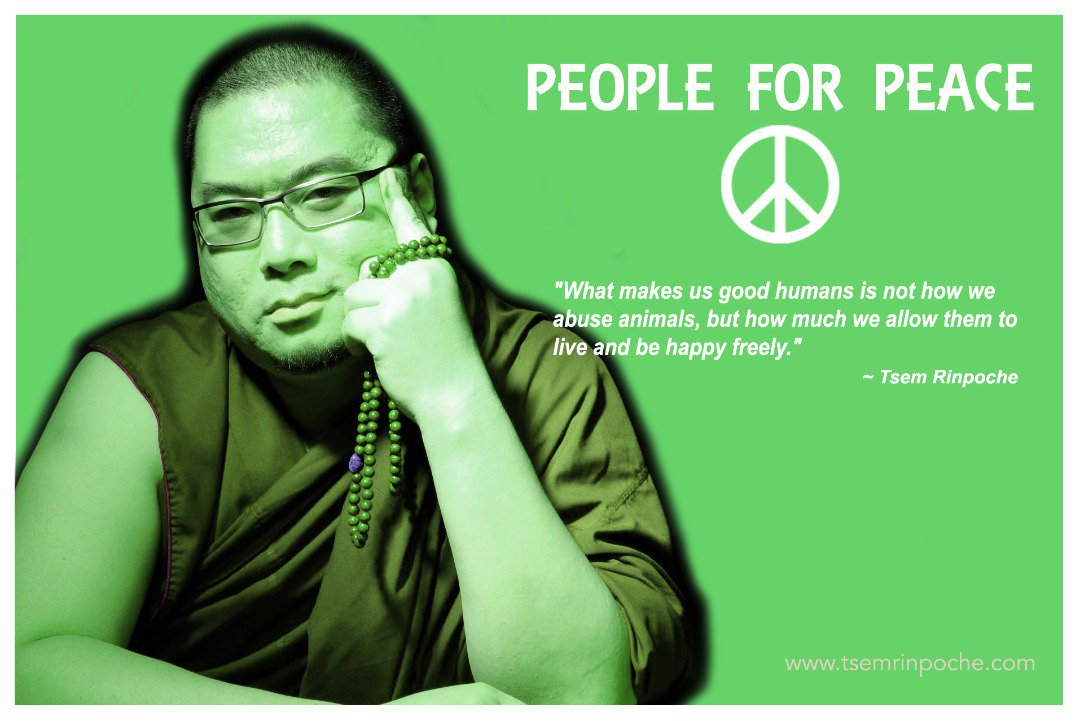 chongjace's tweet photo. What makes us good #human is not how we #abuseAnimals, but how much we allow them to live and be #happy freely. @tsemtulku
#Vegetarian https://t.co/dOMDHmJI5X