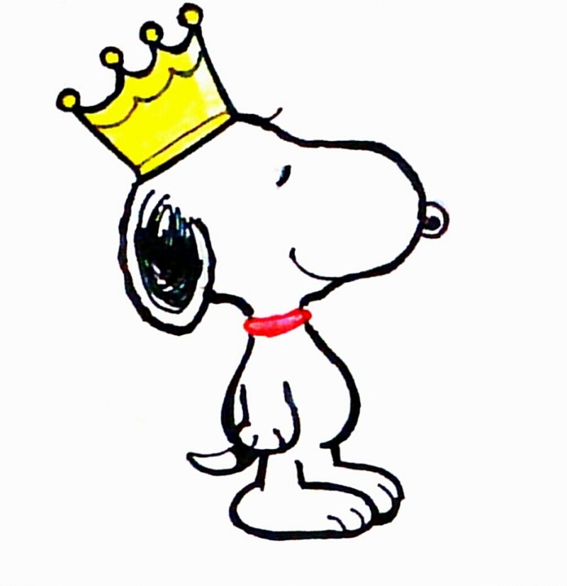 今日で21歳となりました。(^-^)
また１年間皆さんよろしくお願いいたします(￣ー￣)　
スヌーピーも誕生日です！！😁