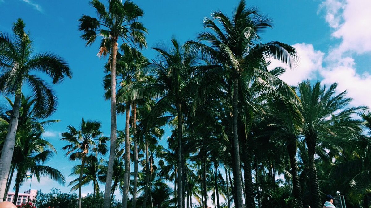 visual_supply's tweet photo. No place better 🌺 https://t.co/bTUaluh1dl