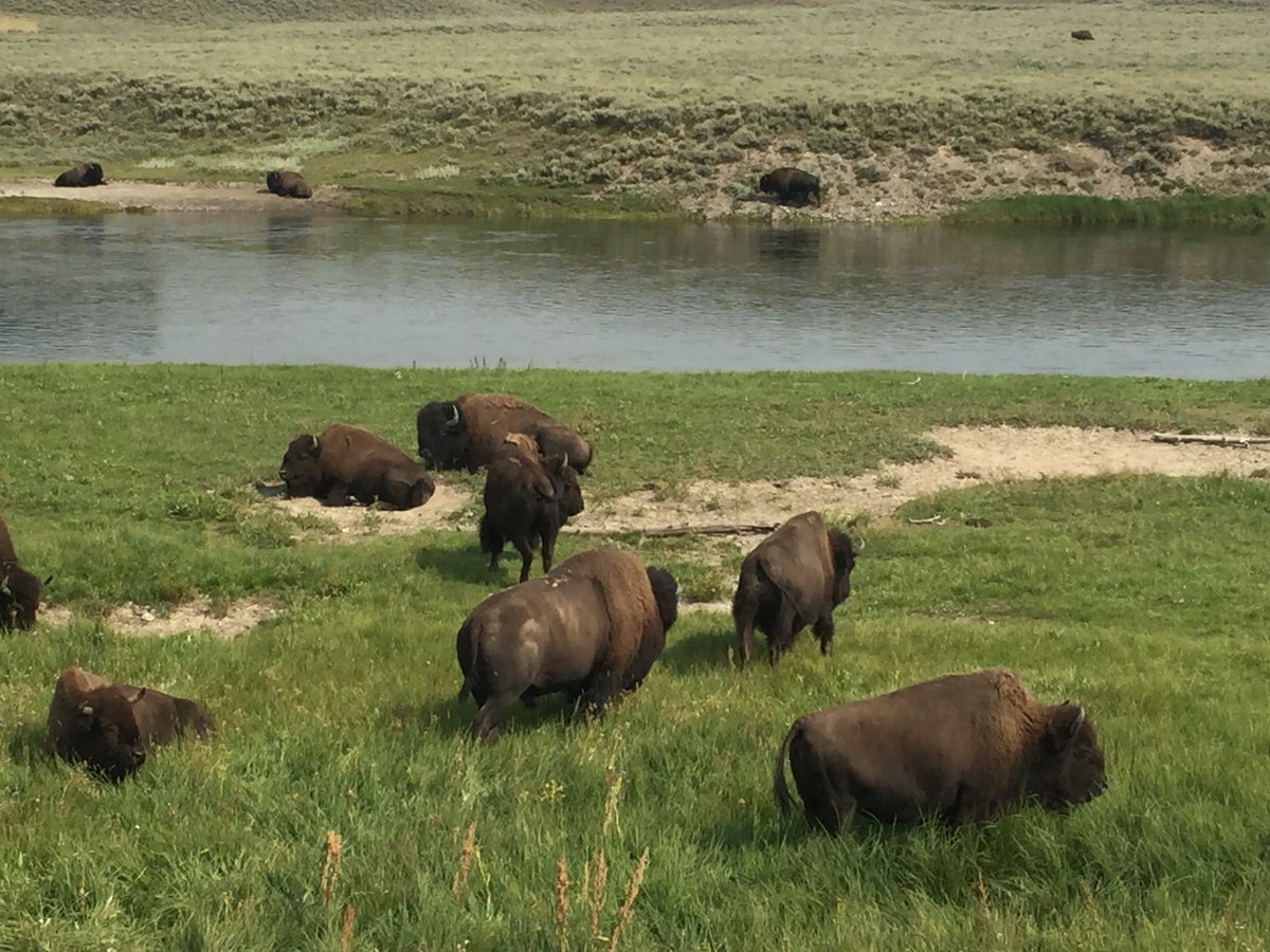 hiarchyllp's tweet photo. @hiarchyllp engaging in @WELLcertified features of Family Engagement and Outdoor Biophilia #MontanaWyoming #plugintonature #thankstoourteam https://t.co/7nxEIOJxaz