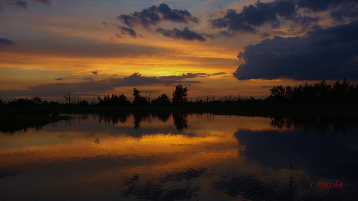 Biesbosch Noordwaard 09 aug 2017 21:08