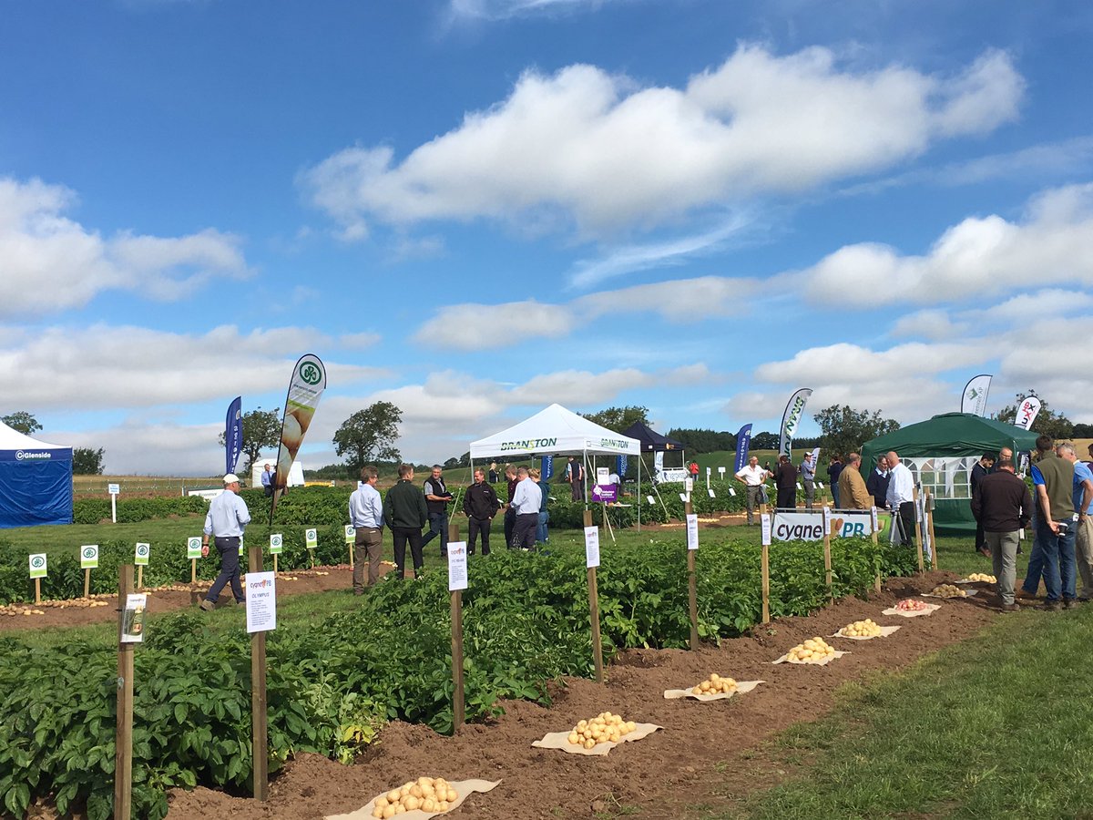 APS_Biolyse's tweet photo. Nice day for JHI's "Potatoes in Practice" https://t.co/m7KCmJKw61