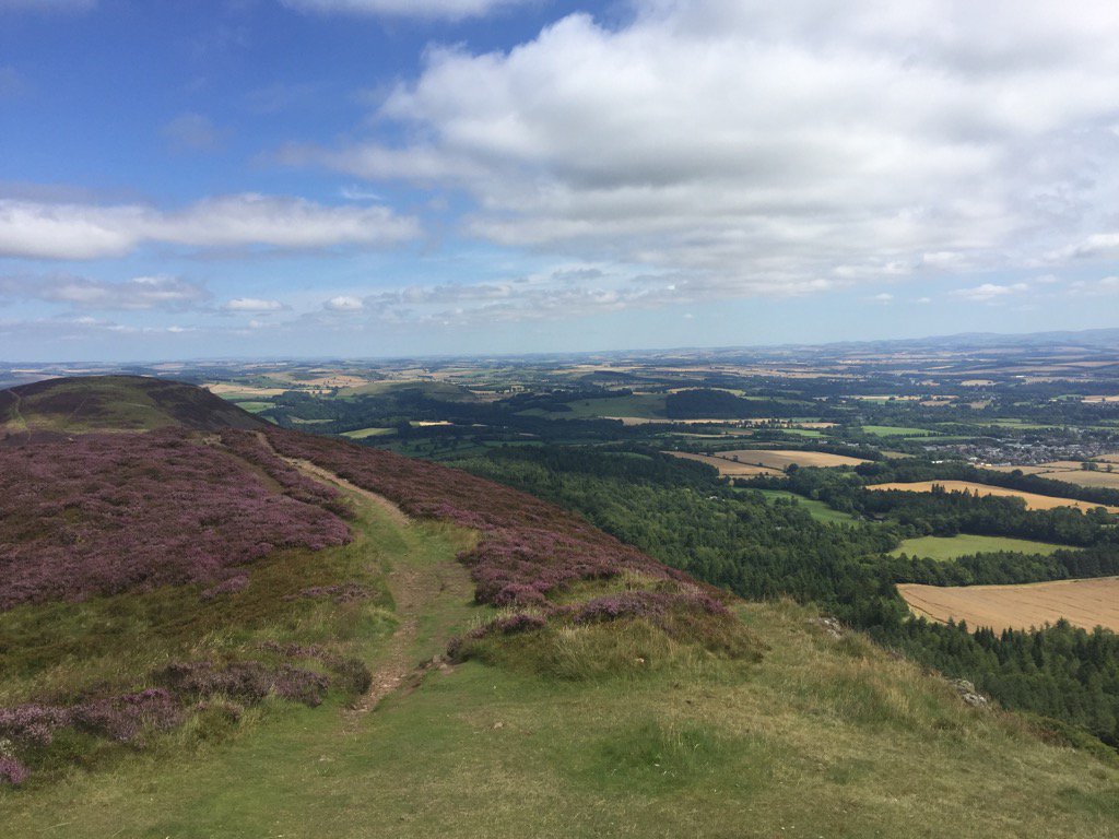 TracyRox11's tweet photo. Not a bad view for lunch #holidays #nokids #walks #eildons https://t.co/9Cj39WwGmj