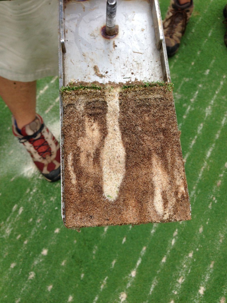 Turf Dynamics Inc tweet media