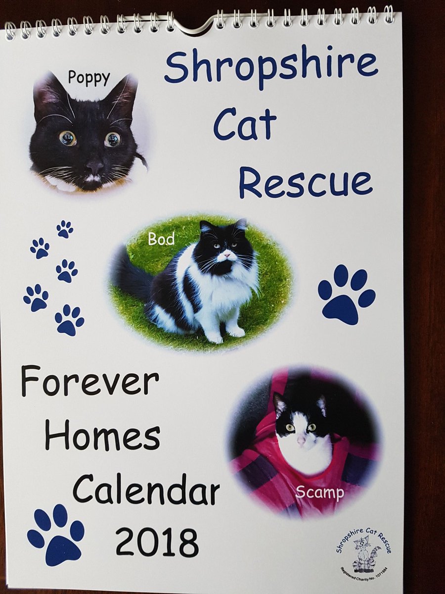 Here's our #2018 #calender all cats #adopted from #shelter 😻🐾❤ <a href="/shrewsmorris/">Shrewsbury Morris Dancers</a> <a href="/ShropGirlFriday/">Girl Friday Web Design & SEO</a> <a href="/PollySparky/">Ali</a> <a href="/EmblemVA/">Emma Davies</a> @spellboundmedia