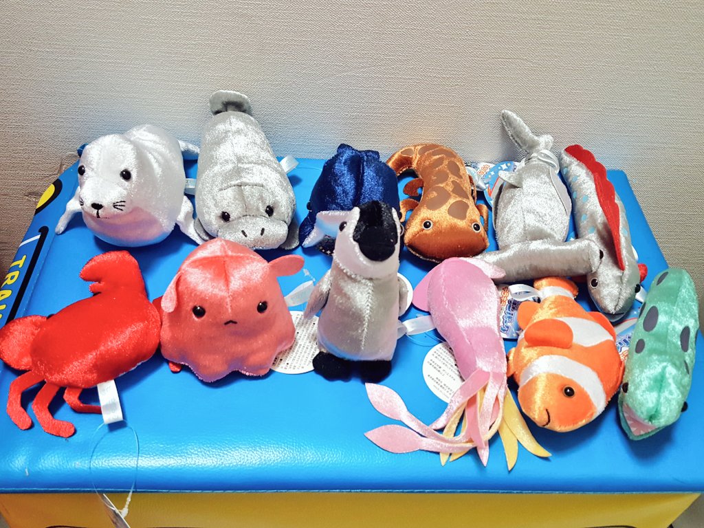 マリンパーク　ウルトラマリン　すキラキラぬいぐるみ　海の生き物 海の生き物 ぬいぐるみ 27体 【キラキラマリンパーク】お魚