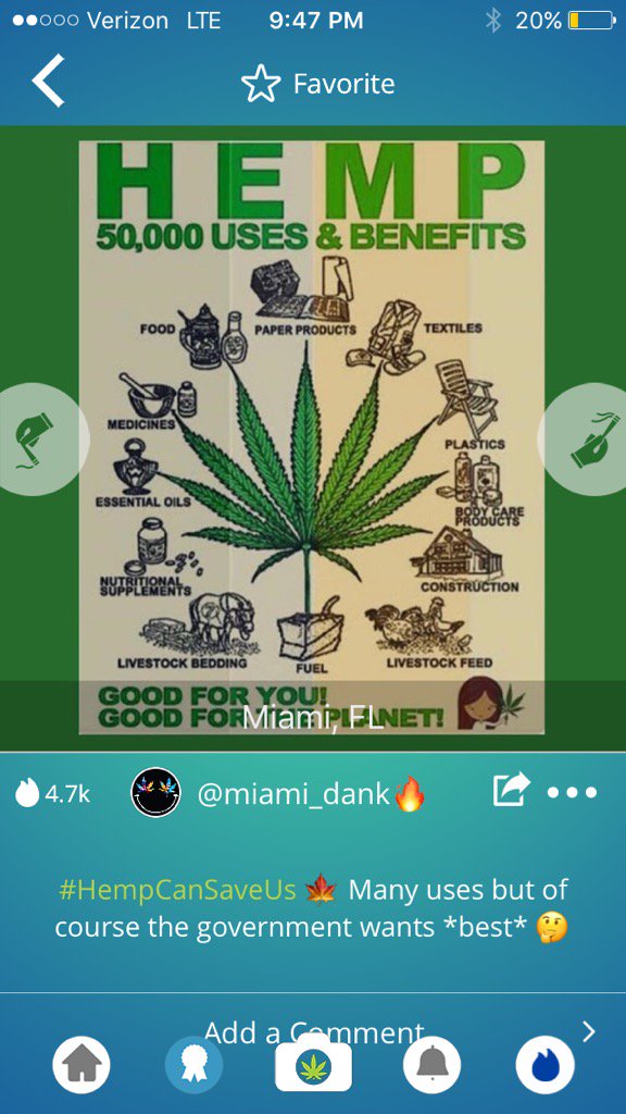 chicohempfest's tweet photo. This is why my dad grew Hemp, and his dad before him! #chicohempfest #weedweave #badlandsdabs #silverRemedy #ogindy https://t.co/Rir6KnsVYZ