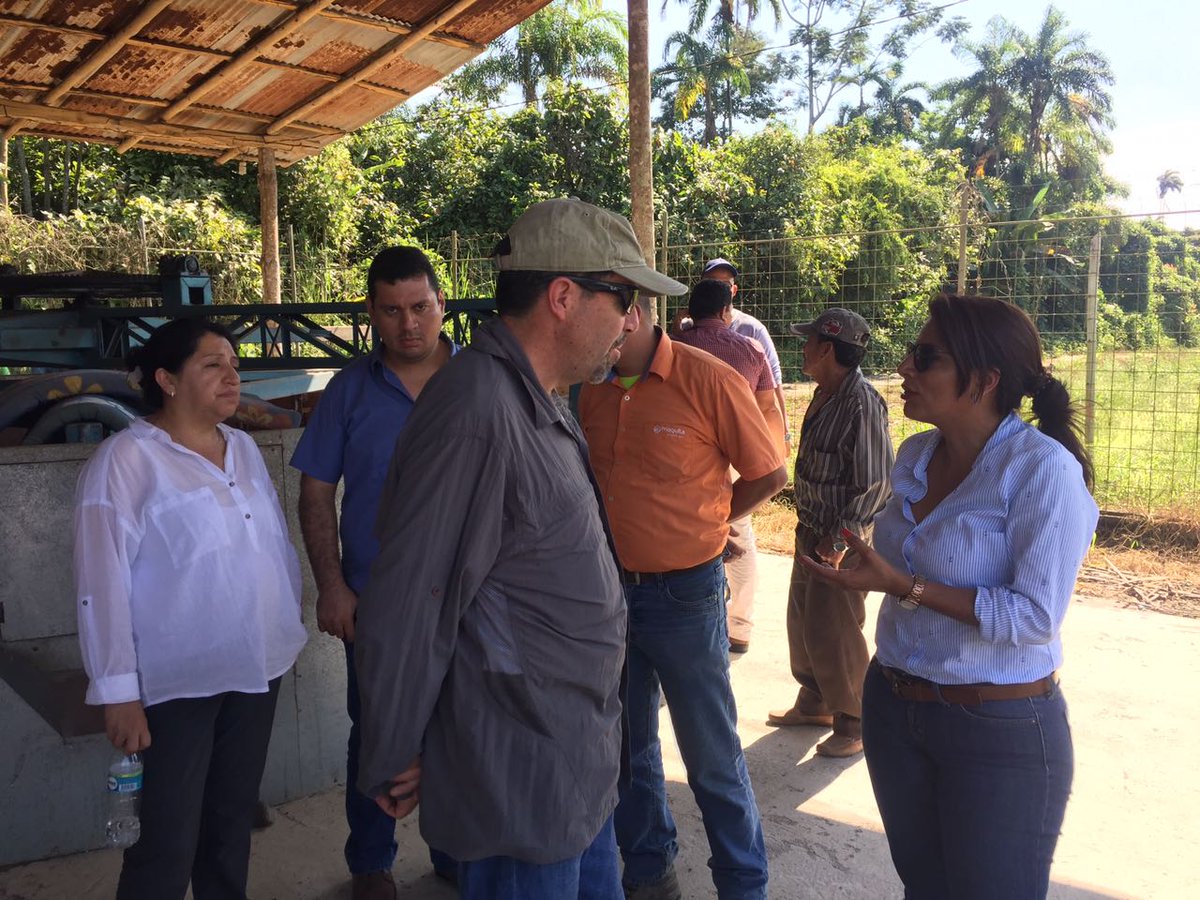 DiCaAnYe's tweet photo. Visita a comunidades de la zona de Buena Fe x parte de Técnicos de Planta Central @AgriculturaEc proyectos #PITTPA y Asociatividad https://t.co/2uYhuWySZZ