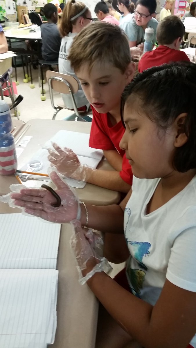 Mrs_KHef's tweet photo. Hands on discovery with millipedes! #4E1 #4thGradeRocks #ScienceIsFun @WestLakeElem @RCGib https://t.co/J9q1ioBnRg
