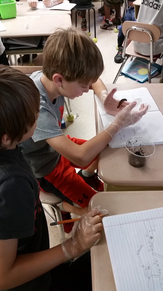 Mrs_KHef's tweet photo. Hands on discovery with millipedes! #4E1 #4thGradeRocks #ScienceIsFun @WestLakeElem @RCGib https://t.co/J9q1ioBnRg