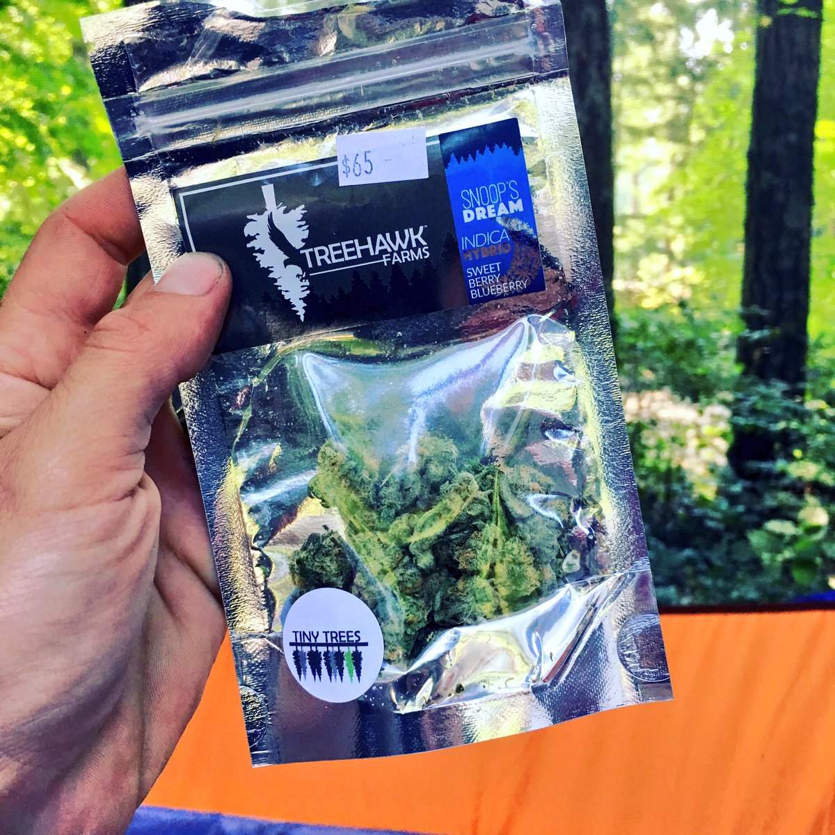 natlovestoclimb's tweet image. #camping #treehawkfarms amazing #Chronic #bud #i502 #stonergirlsdoitbetter