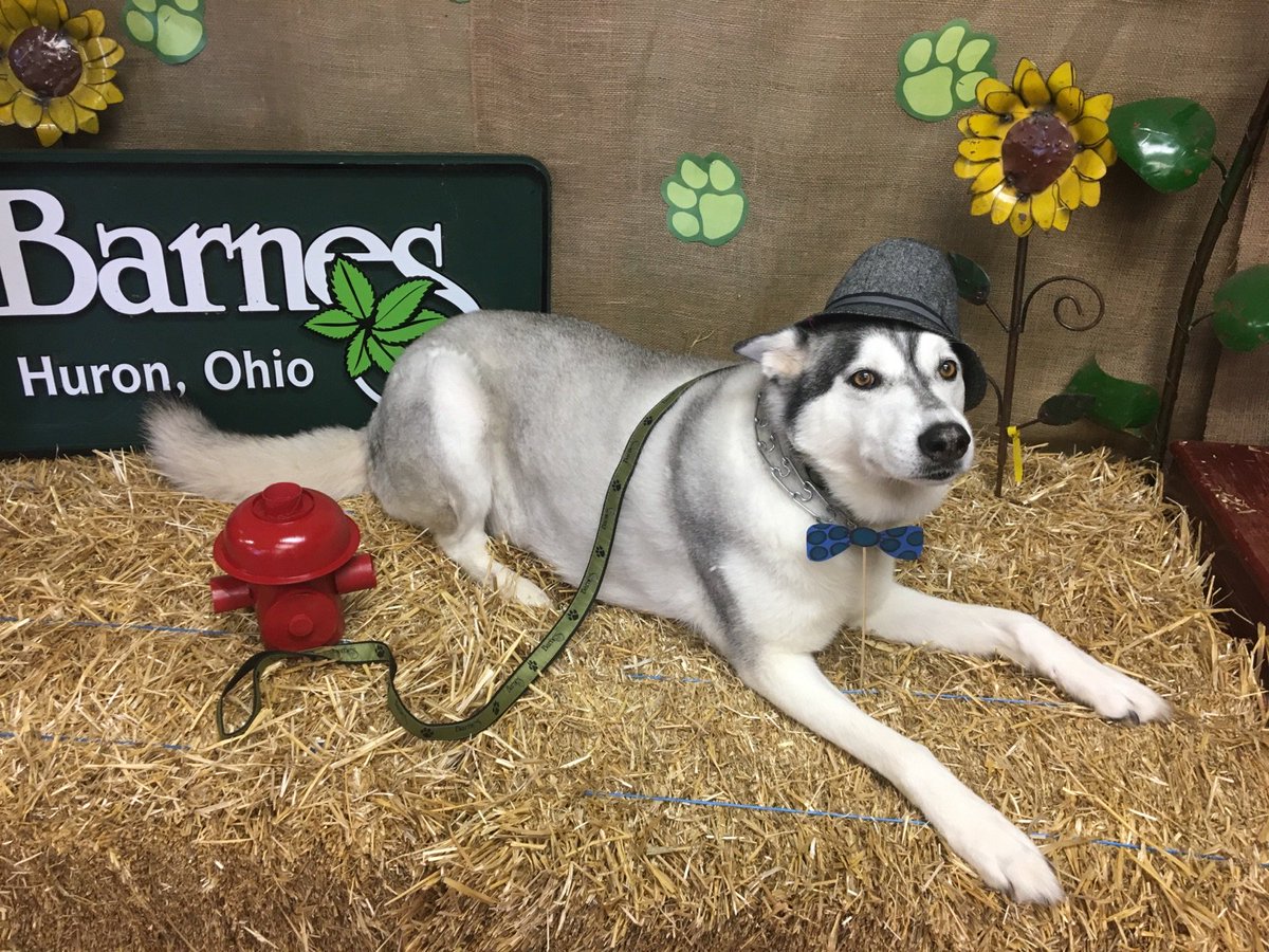 Barnes Nursery On Twitter The Dog Days Of Summer Event Kick Off